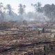 Karhutla di Lamtamot, Tiga Hektare Lahan Terbakar