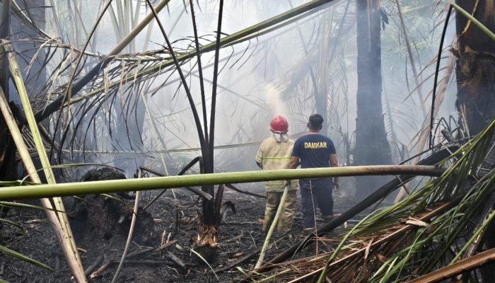 Petugas Berjibaku Padamkan Karhutla di Suka Makmur Aceh Besar