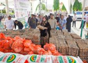 Peringati Hari Pangan Sedunia, Illiza Ajak Warga Banda Aceh Tanam Cabai dan Sayuran di Pekarangan