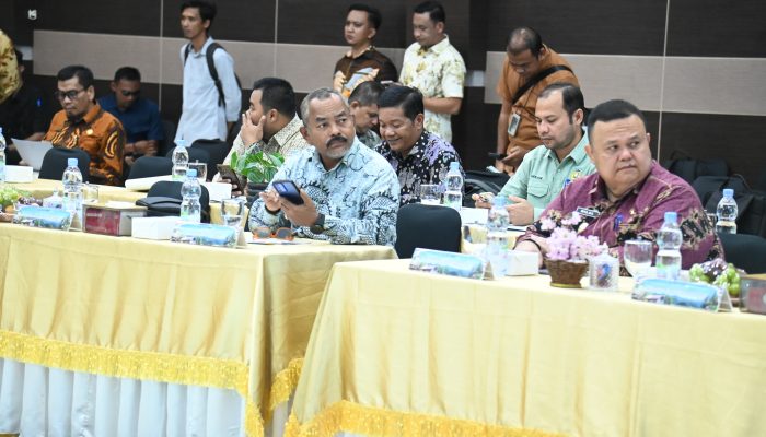 Pemkab Aceh Besar Dukung Sinkronisasi Usulan Program Listrik Pedesaan