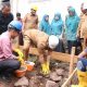 Wali Kota Sabang Letakkan Batu Pertama Pembangunan Rumah Duafa, Salurkan Zakat Langsung kepada Mustahik